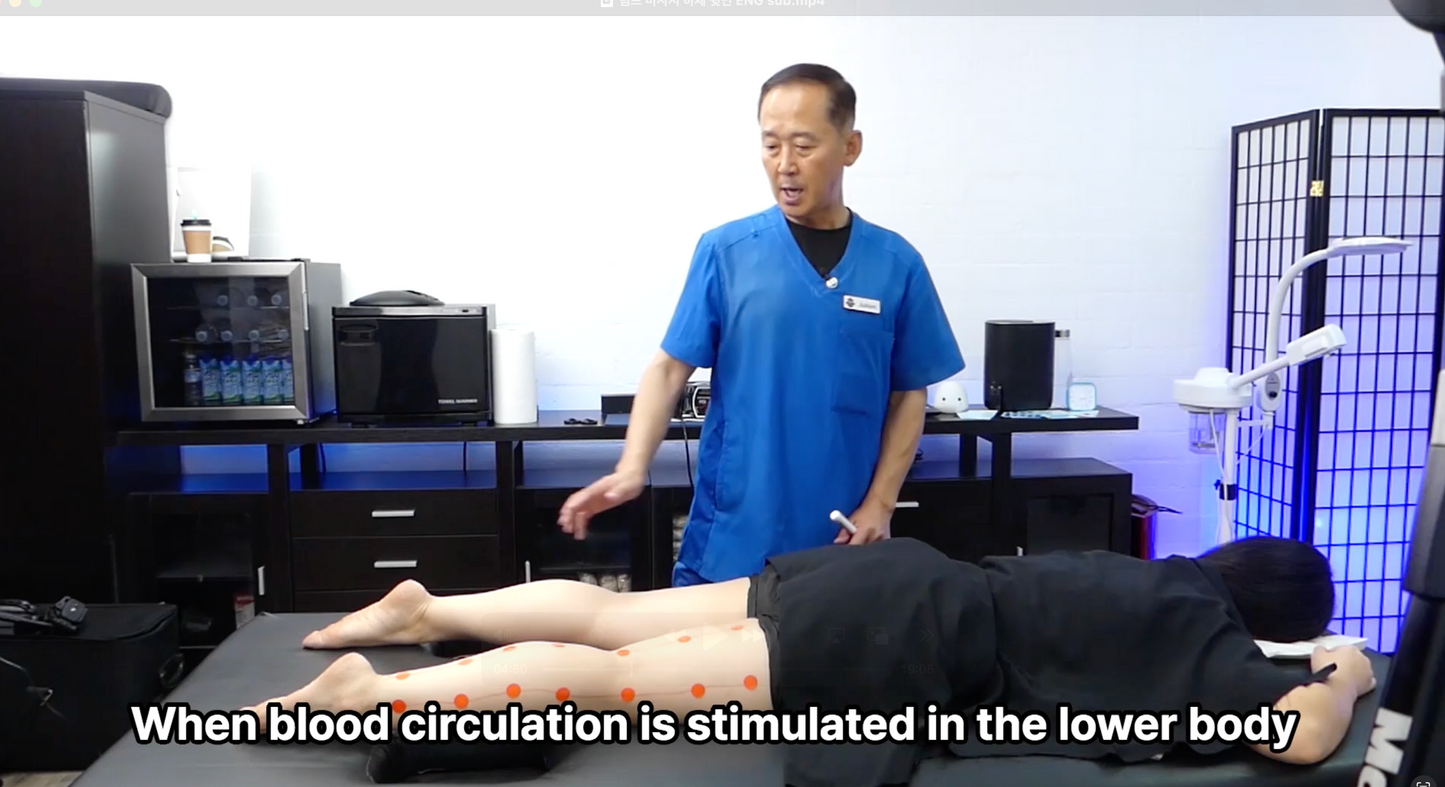 림프 마사지 하체 뒷면 Lower Body (Back Side)