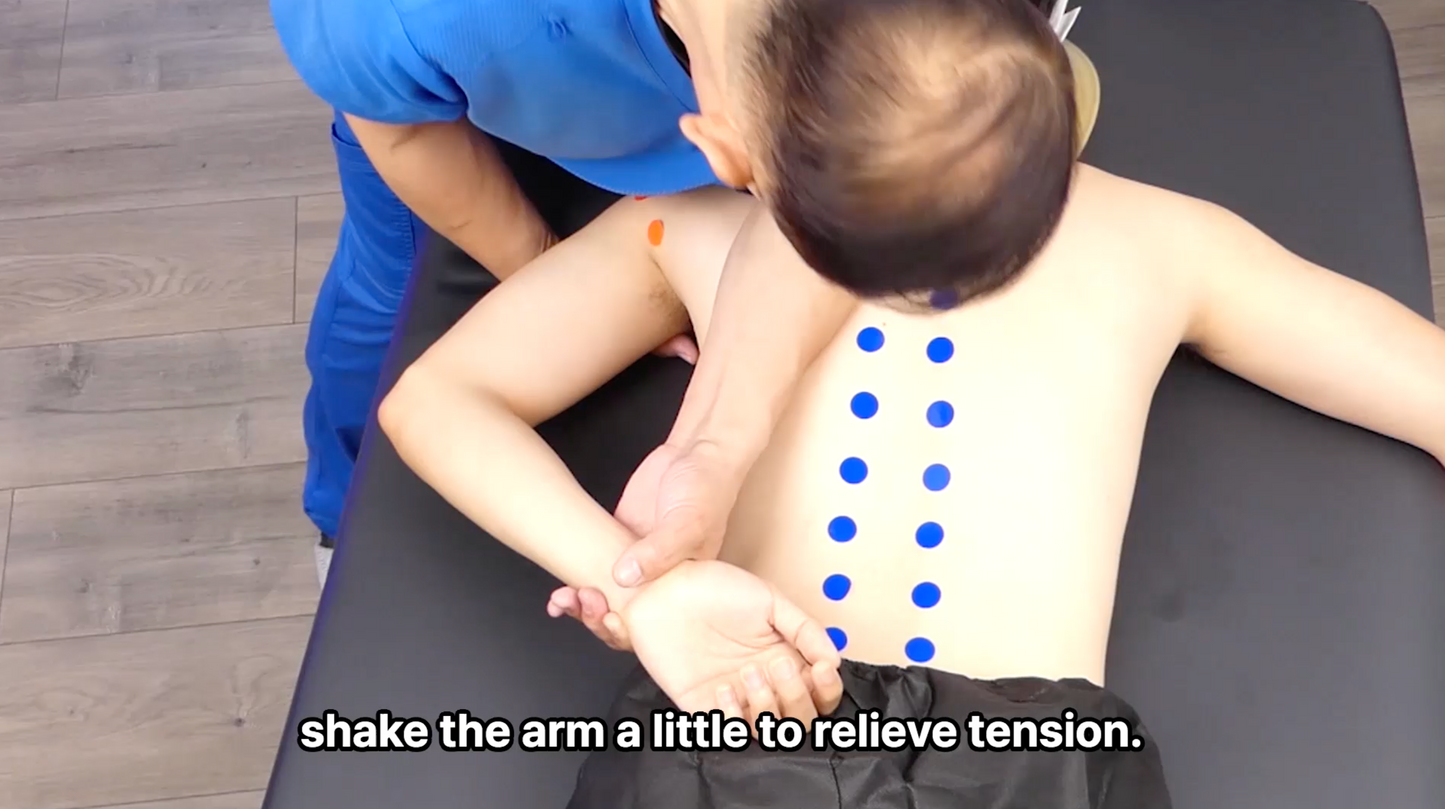 건식 마사지 상체 뒷면  Dry Massage – Upper Body (Back Side)