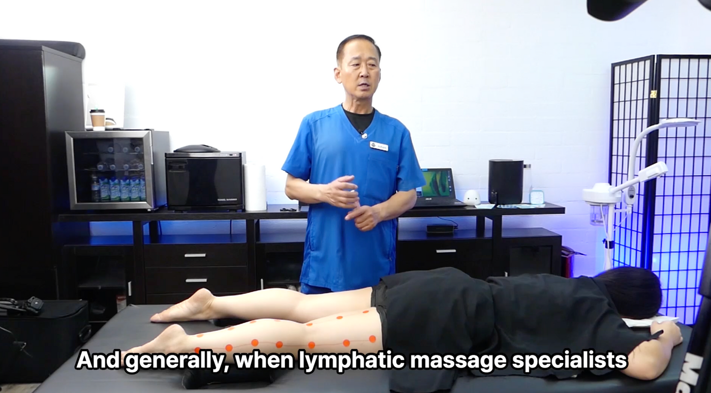 림프 마사지 하체 뒷면 Lower Body (Back Side)